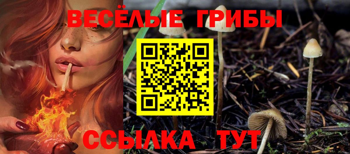 Щёлково  Галлюциногенные грибы ЛСД  Галлюциногенные грибы мицелий  Вход с VPN 