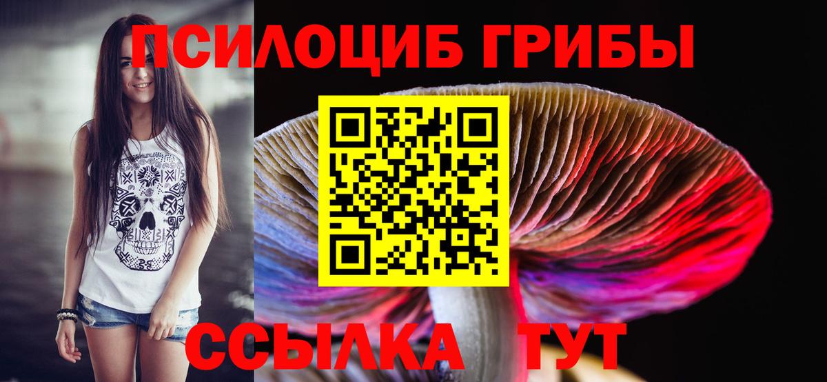 Галлюциногенные грибы прущие грибы Щёлково